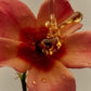 NÉCTAR DE FLOR