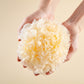 BOSQUES DE TREMELLA